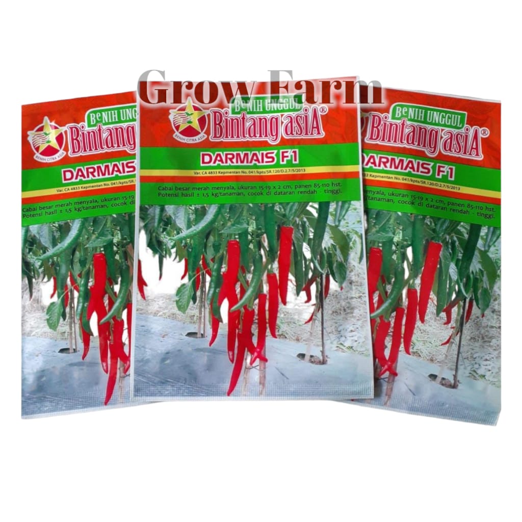 Benih Cabe DARMAIS F1 10gram (Cabe besar ) Bintang Asia