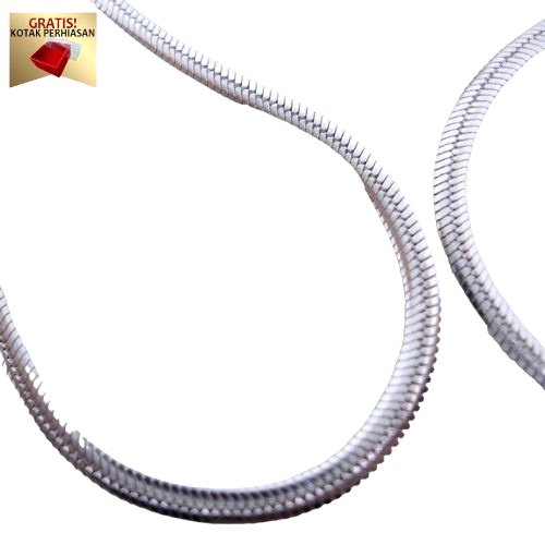 Kalung Titanium Anti Karat Rantai Belut Model New Dolphin Terbaru - Lovelybutik