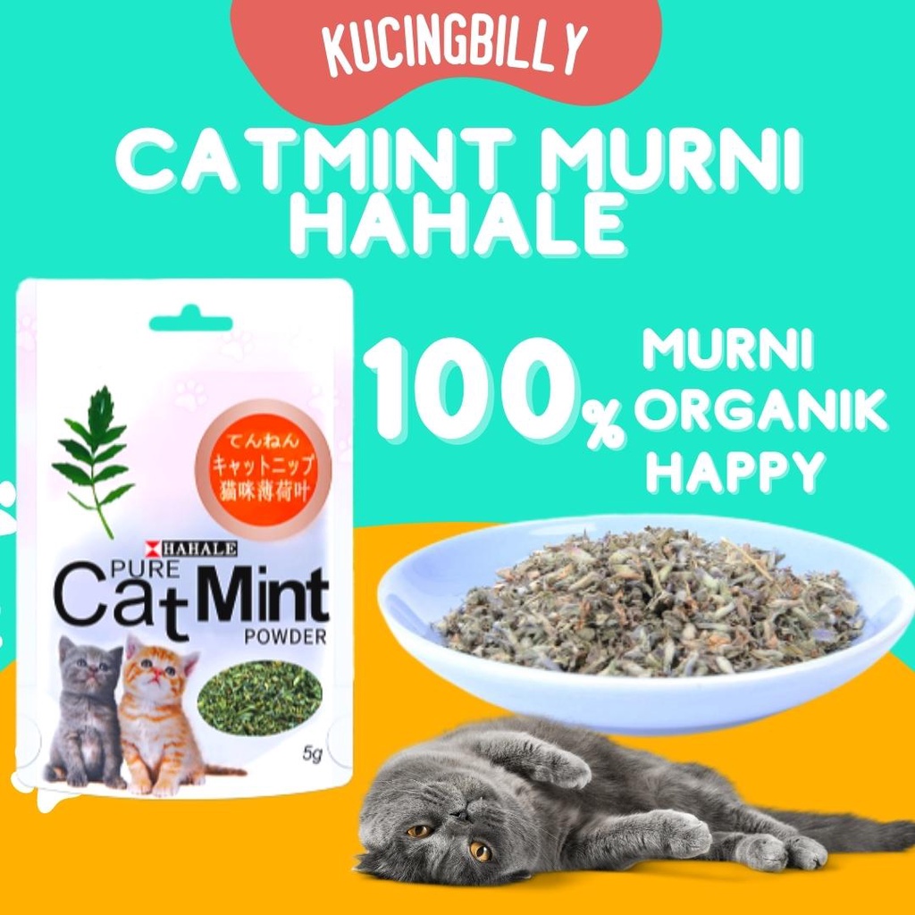 Cat mint powder Hahale