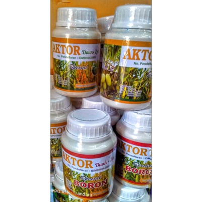 AKTOR DAUN + ZPT DAN AKTOR BUAH +ZPT.