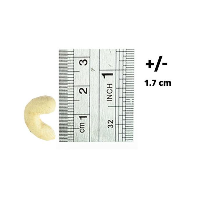 

KACANG MEDE DIJUAL KACANG MEDE MENTAH UTUH PUTIH 450 PREMIUM 1 KG - CASHEW METE EL09I09A82L