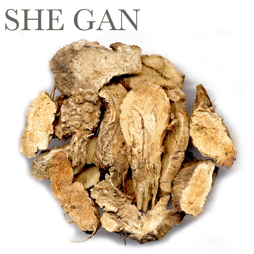 

(100 GRAM) She Gan / Blackberry Lily Rhizome / Belamcadae / Sia Kan