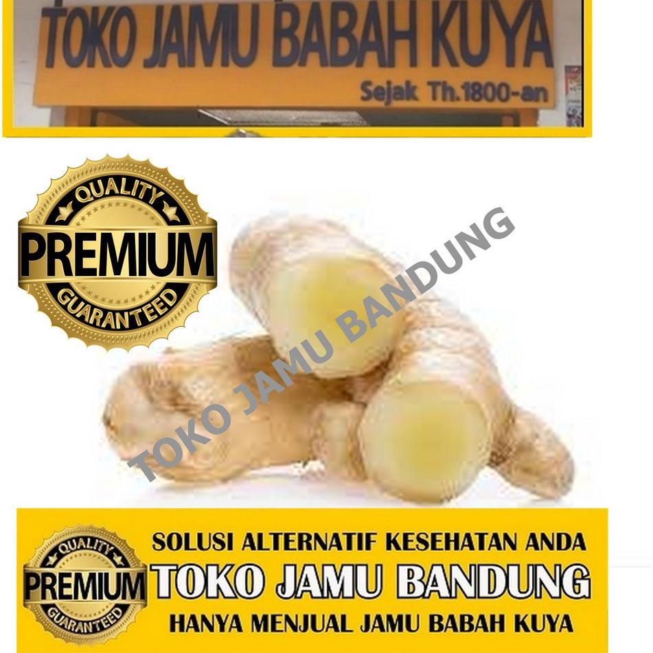 

Kunyit Putih Bubuk Jamu Babah Kuya Premium ~