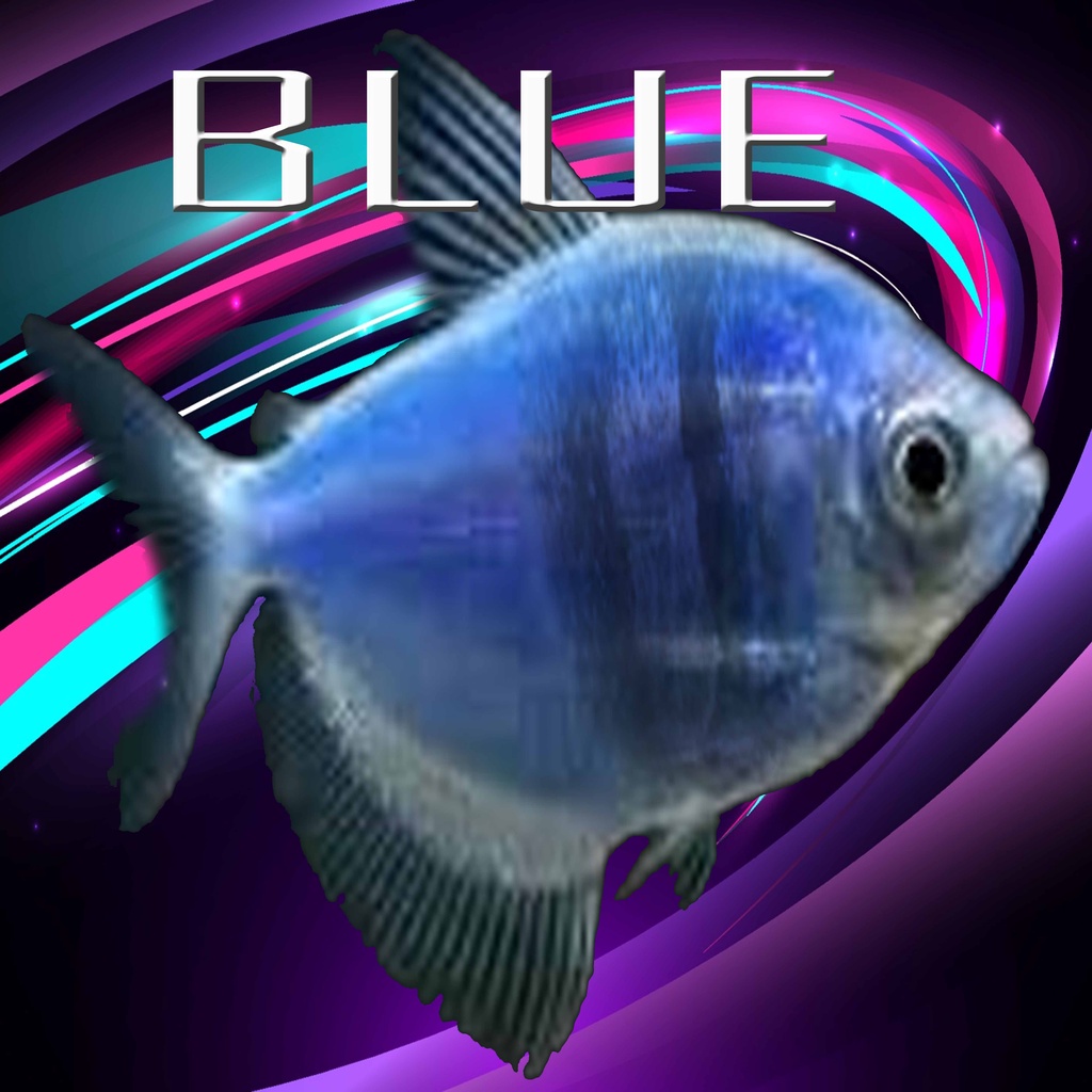 Glowfish ornamen akuarium terlengkap ada disini garansi 100%