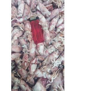 

۩ PROMO Cumi Asin beby 1kg/beby cumi asin /cumi asin rebus kecil ✺