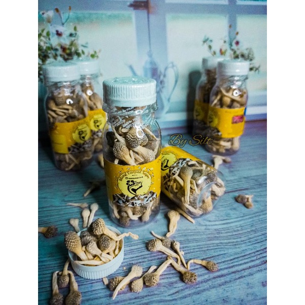 ✨READY✨ Empot Putih Asli Madura Langkah By SILT | Empot madura | Biang Empot Super