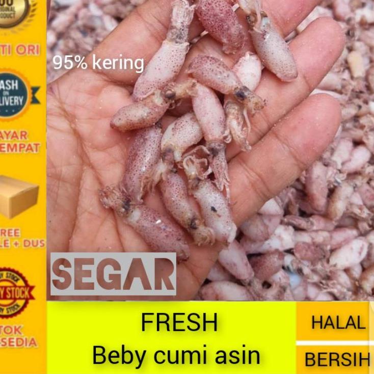 

➯ Cumi beby 0,5cm - 2cm / Baby cumi asin 1kg/ Bahan sambal cumi ❆