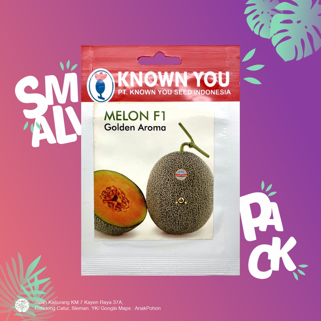 (1 PACK) Benih Melon Golden Aroma Hibrida F1 Oranye Seeds - Known You Seed KYS - 10 SEEDS