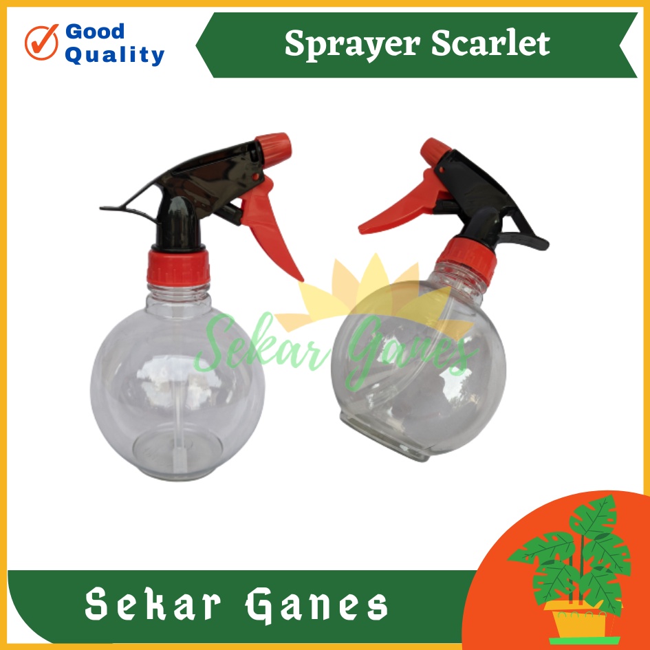 Sprayer Scarlet 500 Ml 1/2 Liter Sprayer Air Disinfektan Tanaman Burung Sprayer Semprotan Serbaguna Manual Swan Gun - SPRAYER BOTOL SEMPROTAN ASENA 500 ML AIR DISINFEKTAN