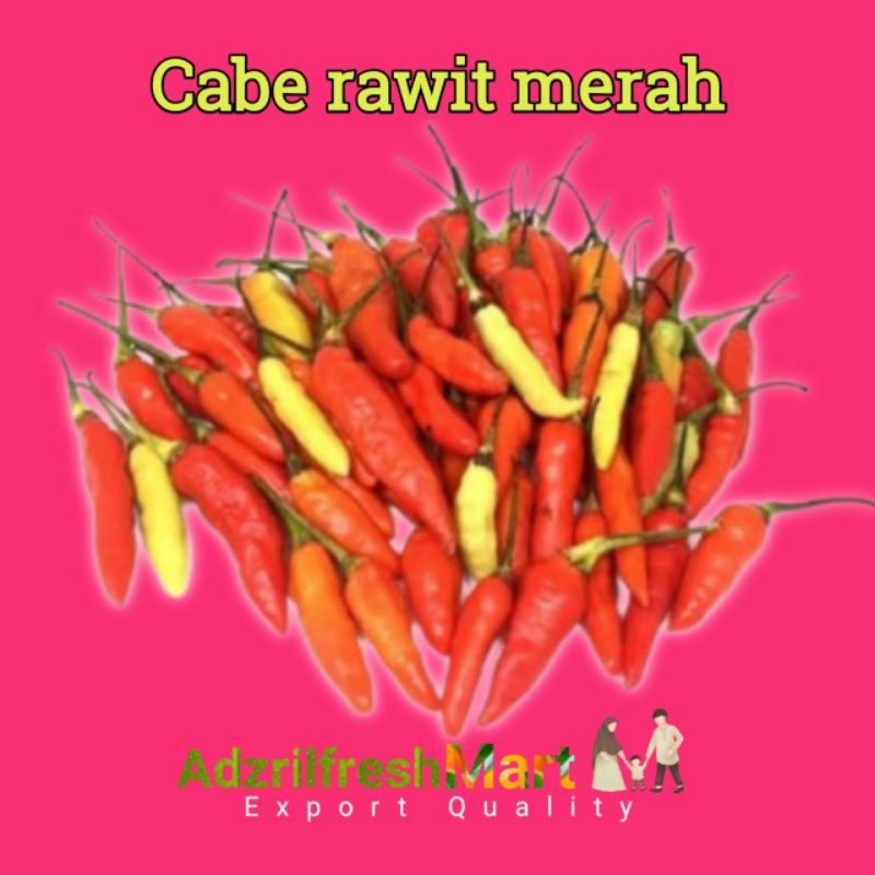 

CABE RAWIT MERAH CABAI RAWIT MERAH SETAN