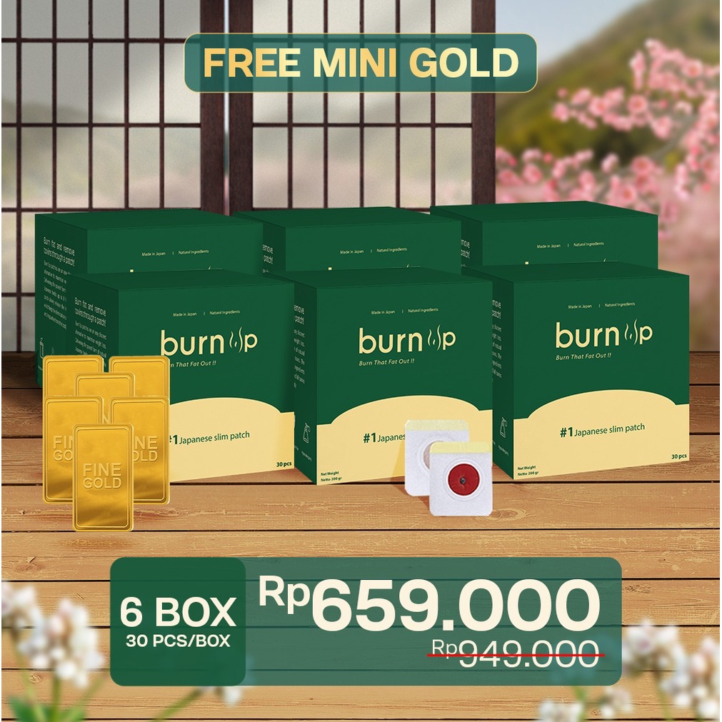 Burn Up 6box Free MINI GOLD