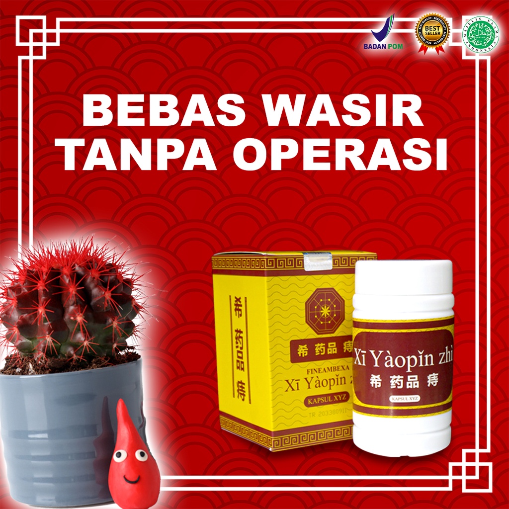 Kapsul Daun Ungu Mengatasi Wasir Ambeyen Ambeien Herbal Alami 100% Original XI YAOPIN ZHI