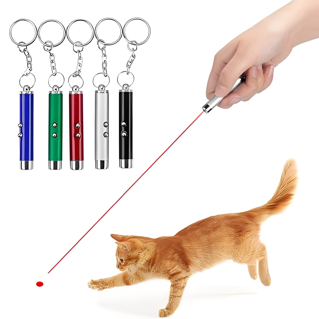 Mainan Kucing Laser Pointer Kucing Anjing Gantungan Kunci Cat Toys Pet Toy