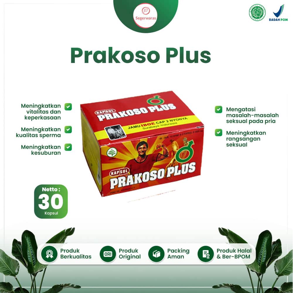 Kapsul Prakoso- Obat Herbal Meningkatkan Vitalitas dan Keperkasaan Pria