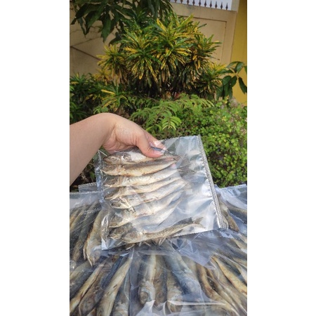 

Ikan Asin Layang Super Best Seller, Kemasan 250-1000gram