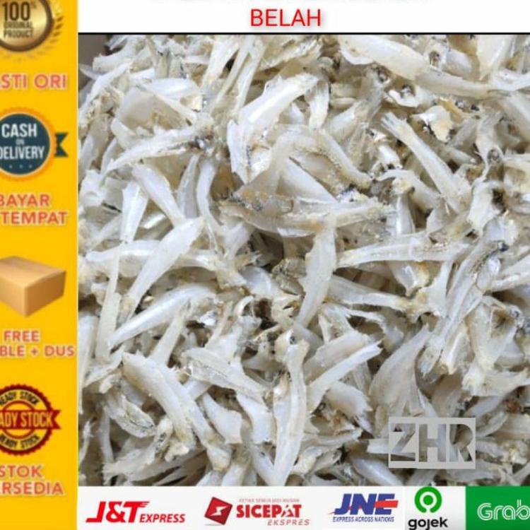 

⅍ ikan asin teri jengki belah VIP 1kg - ZHR ➳