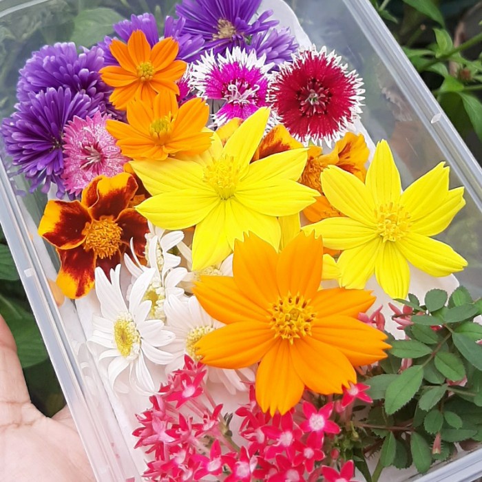 

[Ready Stock]bisa COD Edible flowers 30 Pcs (Flowers)