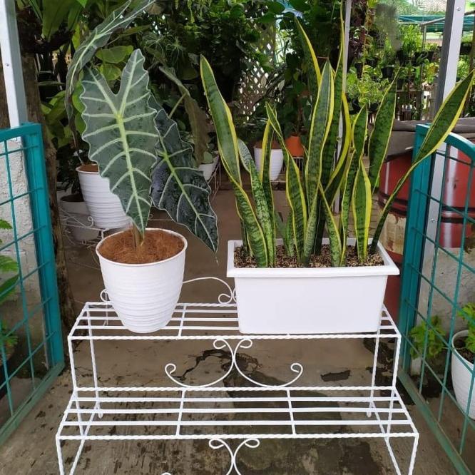 Rak Besi Pot Bunga 2 Susun Besar Gojek Only