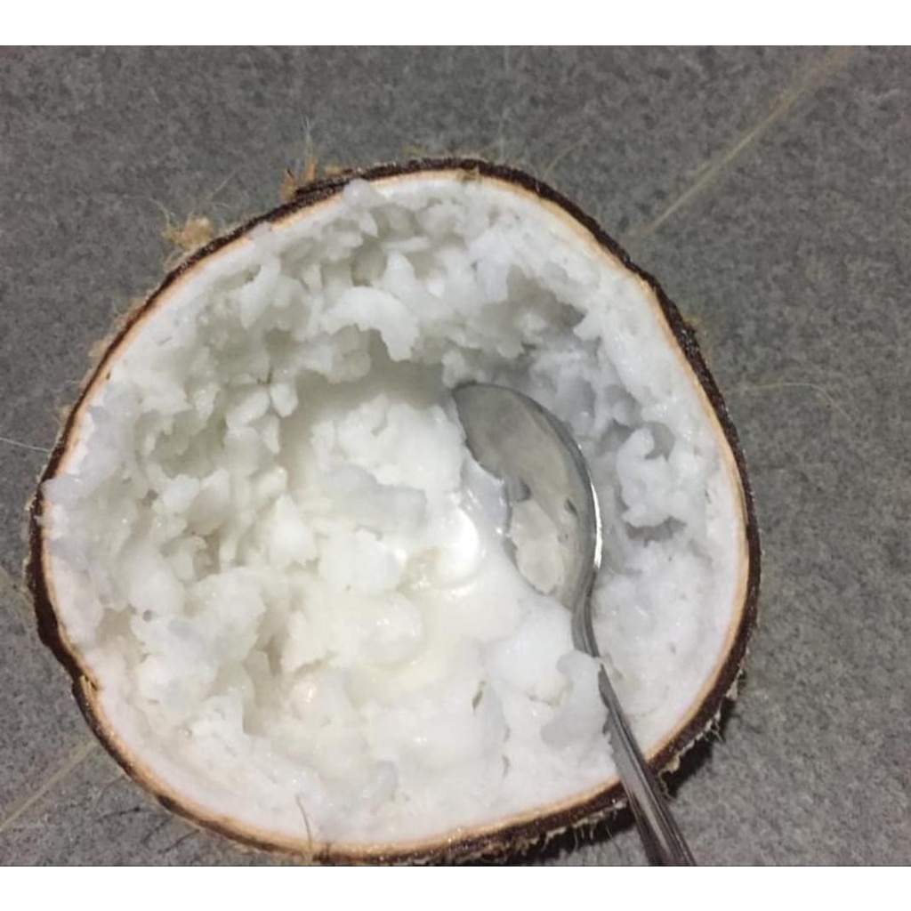 

kelapa kopyor murah segala ukuran