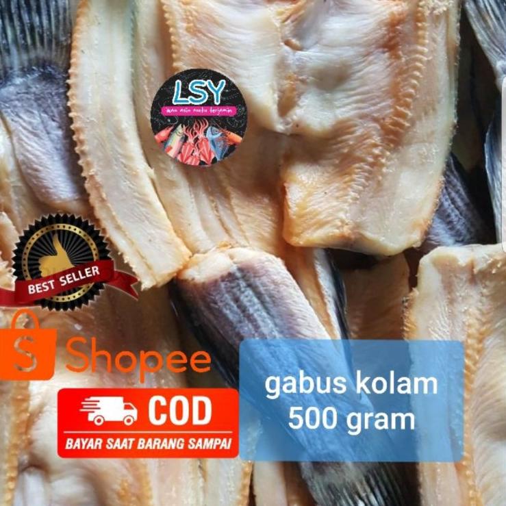 

✵ ikan asin gabus kolam size besar 500gr ❅