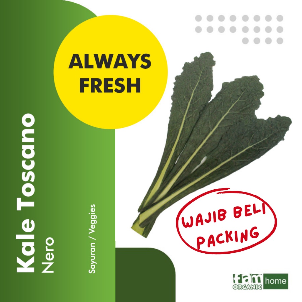 

Kale Toscano / Kale Nero FAM Organik Sayur Segar Fresh Vegetable