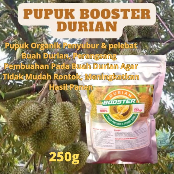 Pupuk durian supaya cepat berbuah pupuk durian cepat besar dan berbuah pupuk durian cepat besar pupu