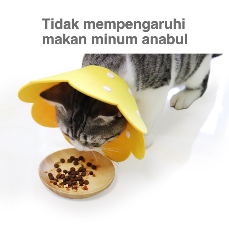 MATAHARI CONE - Corong Cone Penutup Pelinding Leher Kucing Anjing Kelinci Bentuk Bunga Matahari