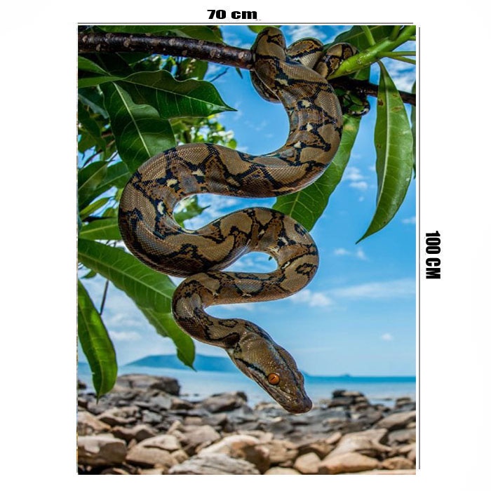 Poster jumbo uk 70 x 100 bahan albatros motiv Phyton pohon