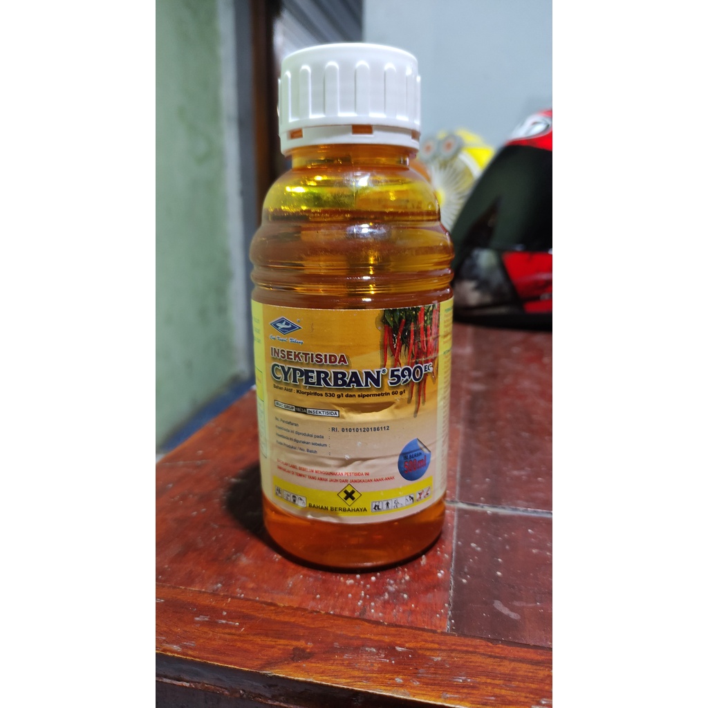 Cyperban 590 EC  500 ml Insektisida Klopirifos 530 g/l dan sipermetrin 60 g/l Cap Kapal Terbang