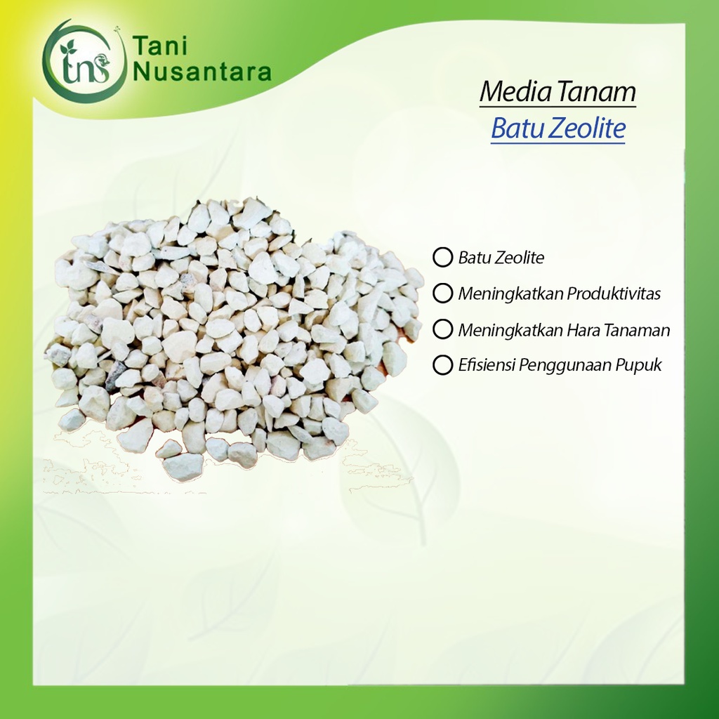 Batu Zeolit Media Tanam 0.3mm - Putih