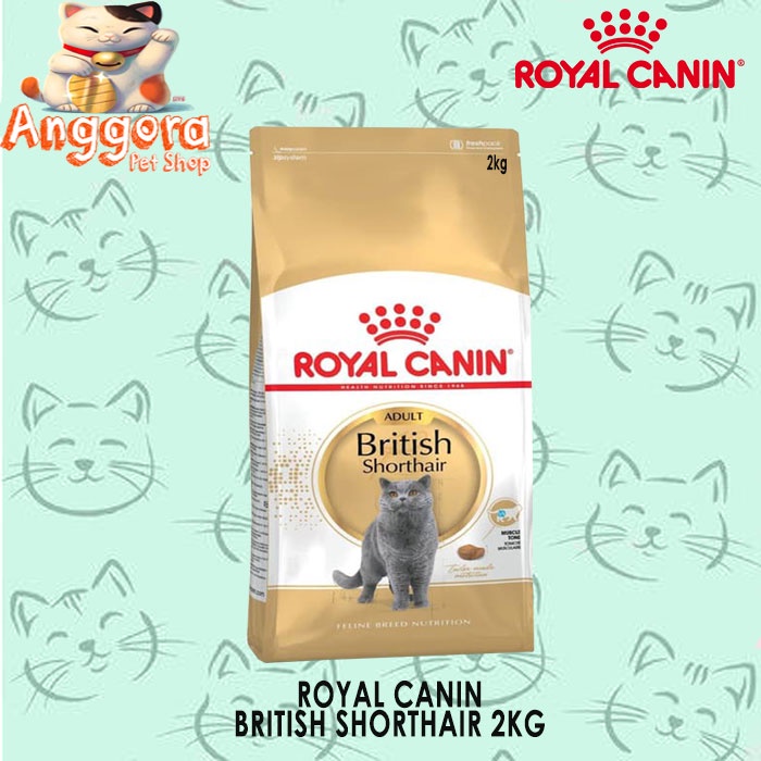 Makanan Kucing Premium ROYAL CANIN British Shorthair 2kg