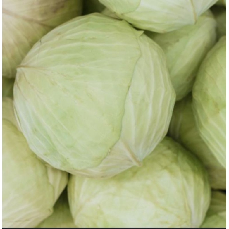 

Sayur Kubis/ kol