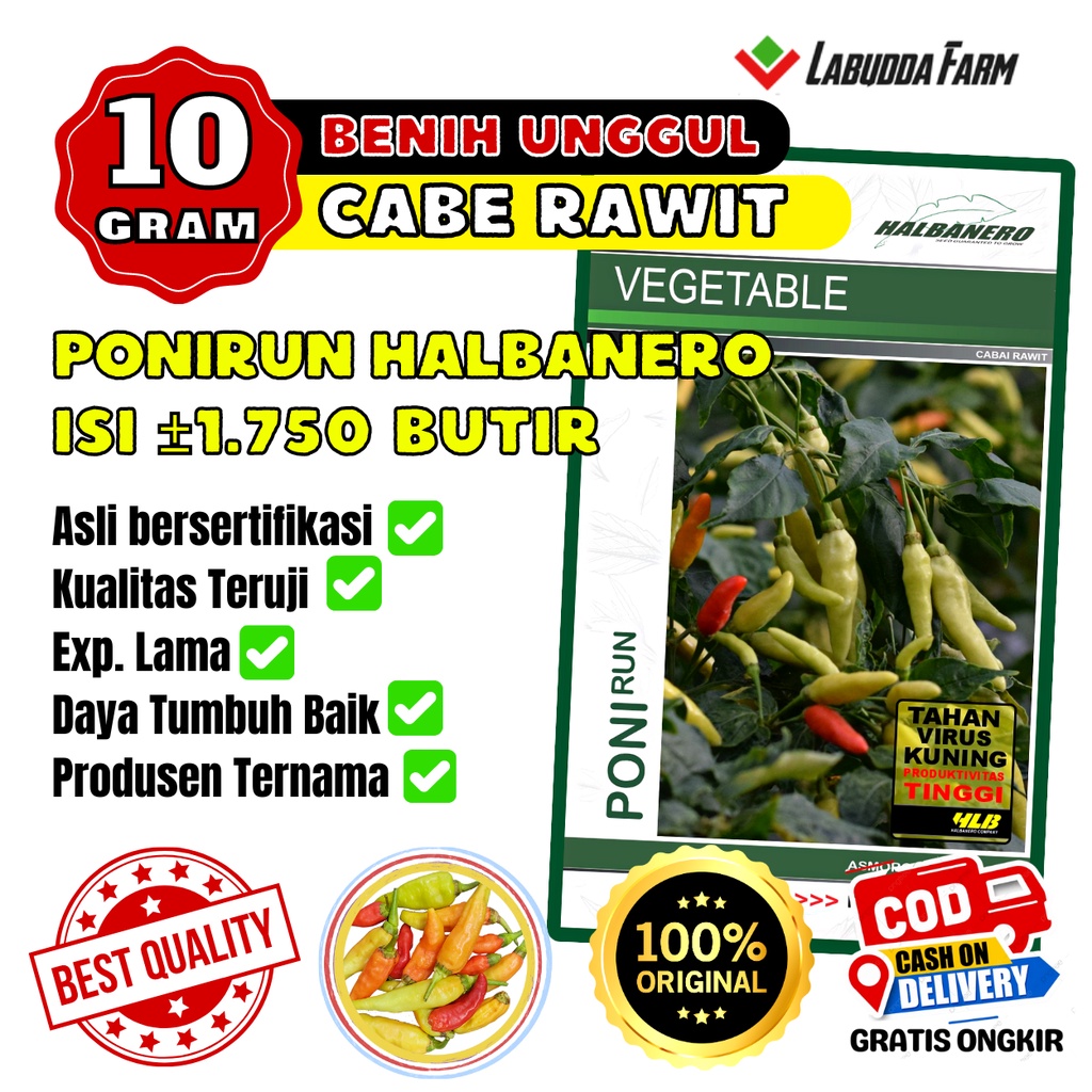 Cabe Ponirun 10 Gram Isi 1750 Butir Benih Cabe Rawit Cap Halbanero Tahan Layu Tahan Virus - Benih Lo