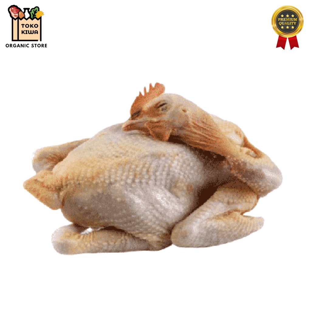 

Ayam Kampung Utuh per ekor / Ayam Kampung Fresh Halal / Ayam Kampung Potong Utuh @600 gr