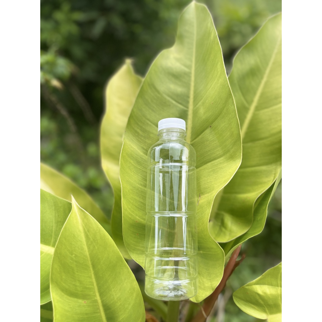 Botol SN 330 ml