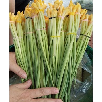 

Sayur BOROS untuk sayur lodeh per-ikat