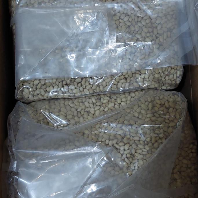 

Pine Nut 12,5 kg