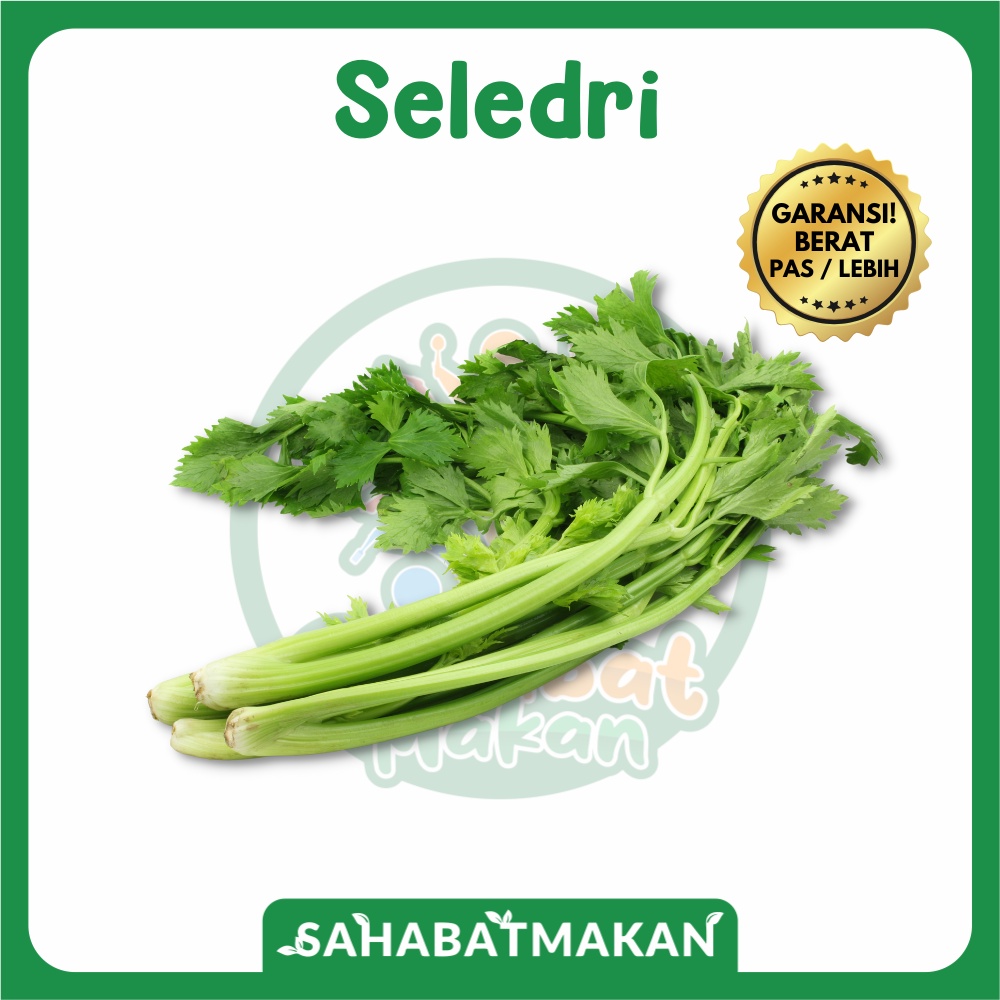 Seledri — SahabatMakan