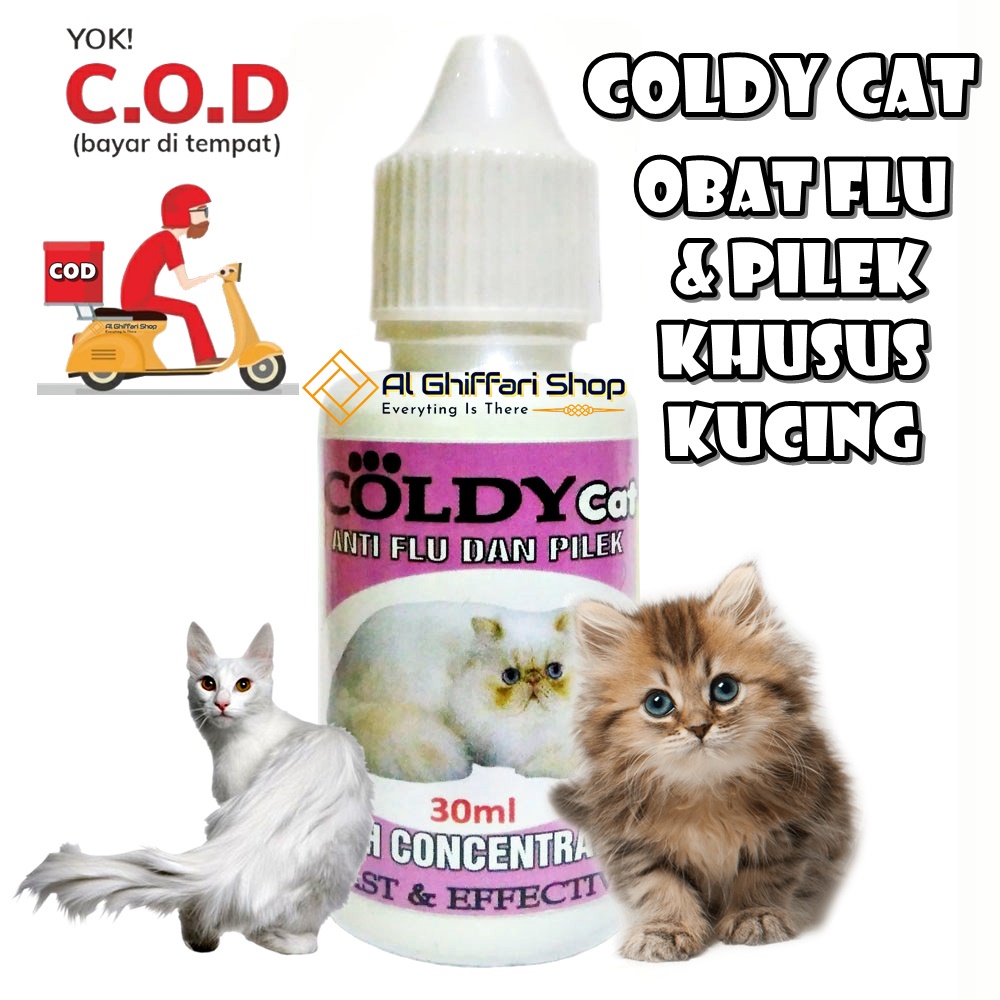 Obat Kucing Sakit Flu Bersin Pilek Ingusan Demam Akut Pada Anak Kucing Dan Kucing Dewasa Coldy Cat -