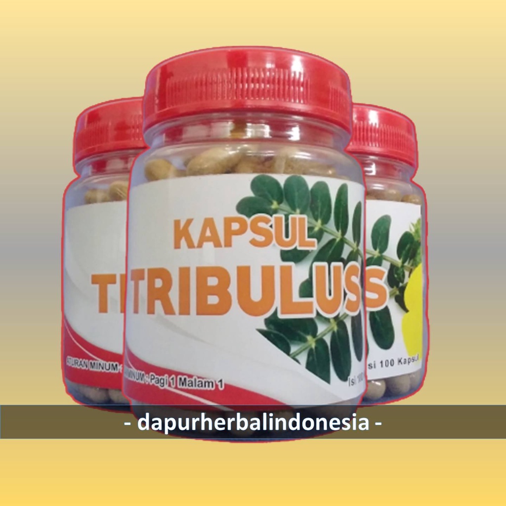 TRIBULUS KAPSUL