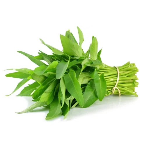 

Kangkung Segar Hidroponik 200 gram Kangkung Sayur Daun Segar