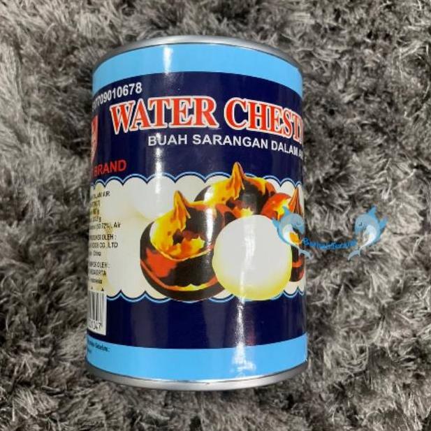 

[spin1] Water Chestnut 567gr red boat brand / Buah Sarangan dalam larutan air