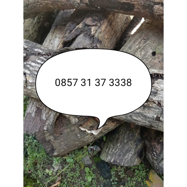 Kartu Perdana Indosat