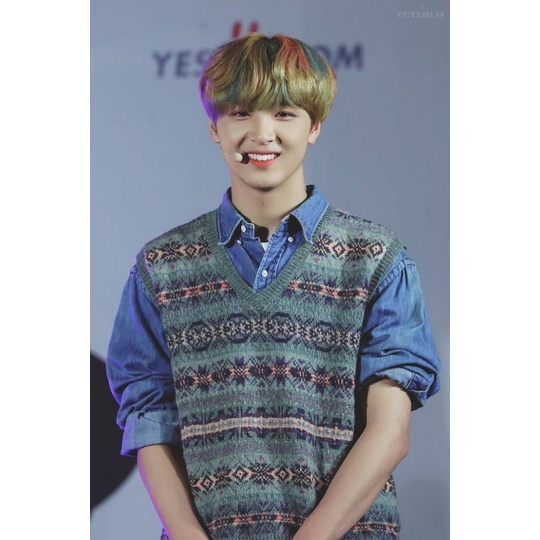 READY STOCK VEST HAECHAN