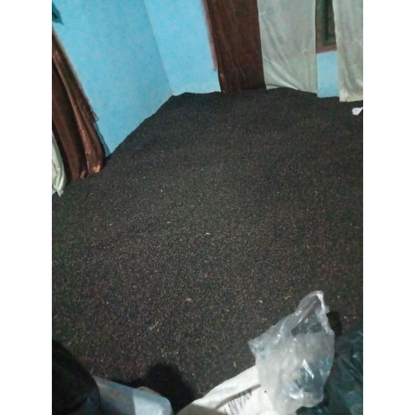

lada hitam bengkulu
