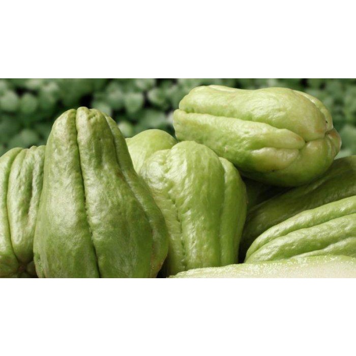 

Sayur labu siam baby