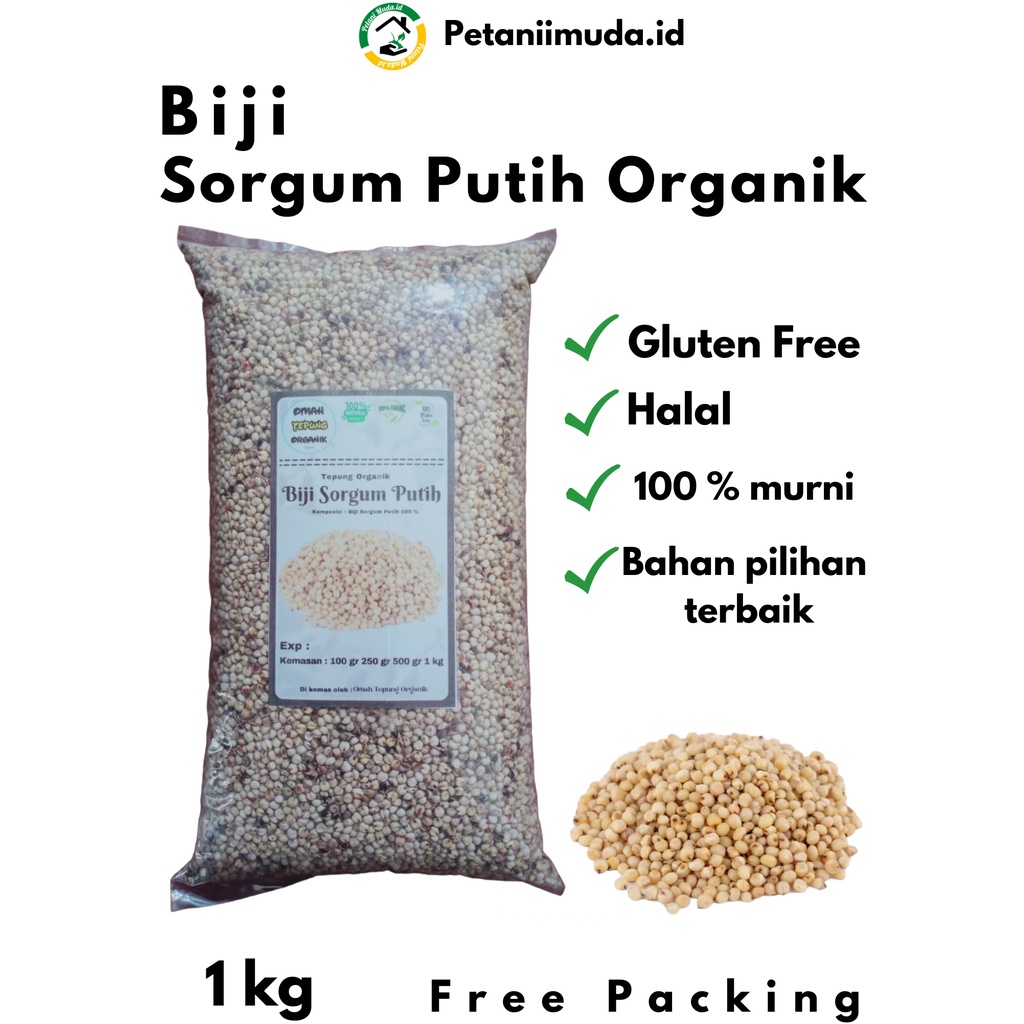 Biji Sorgum Putih kemasan 1 KG/Beras Sorgum Putih kemasan 1 KG/Benih Sorgum Putih kemasan 1 KG/Bibit