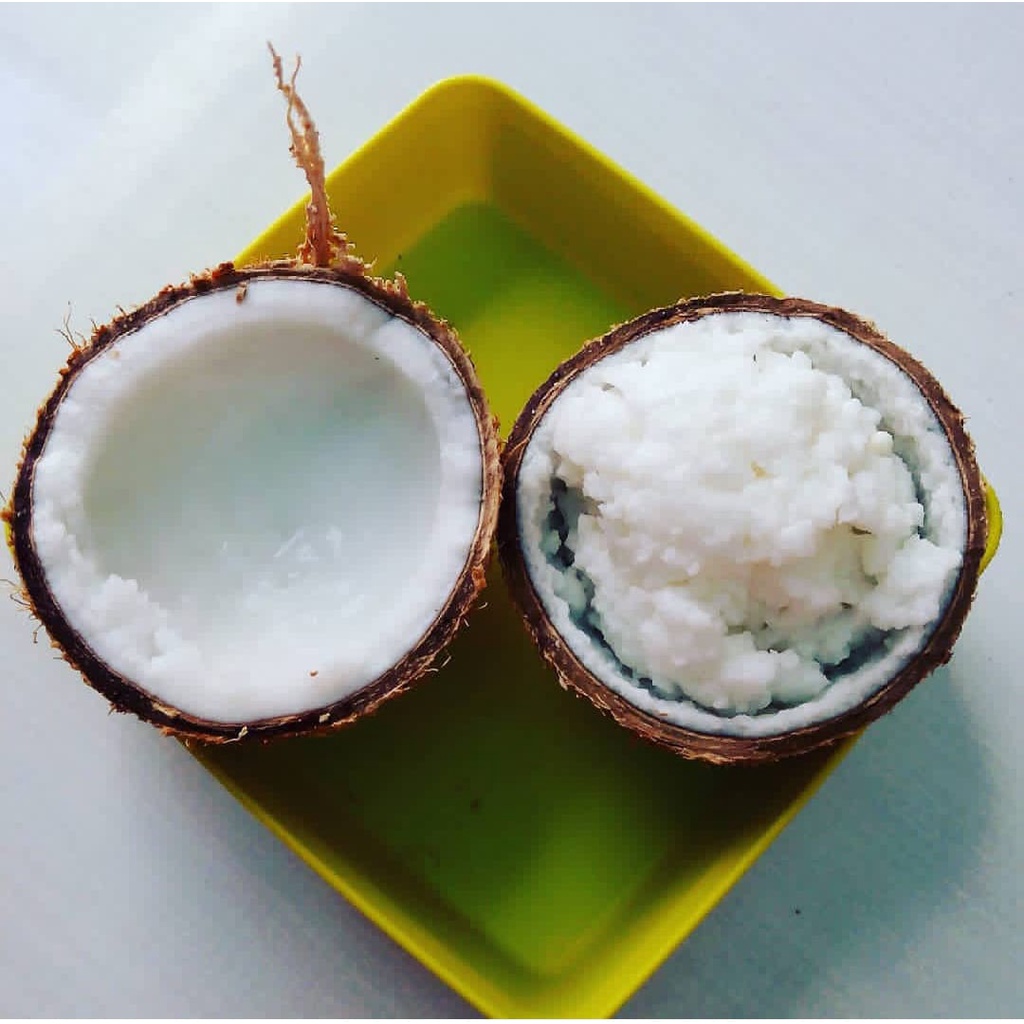 

kelapa kopyor jumbo besar