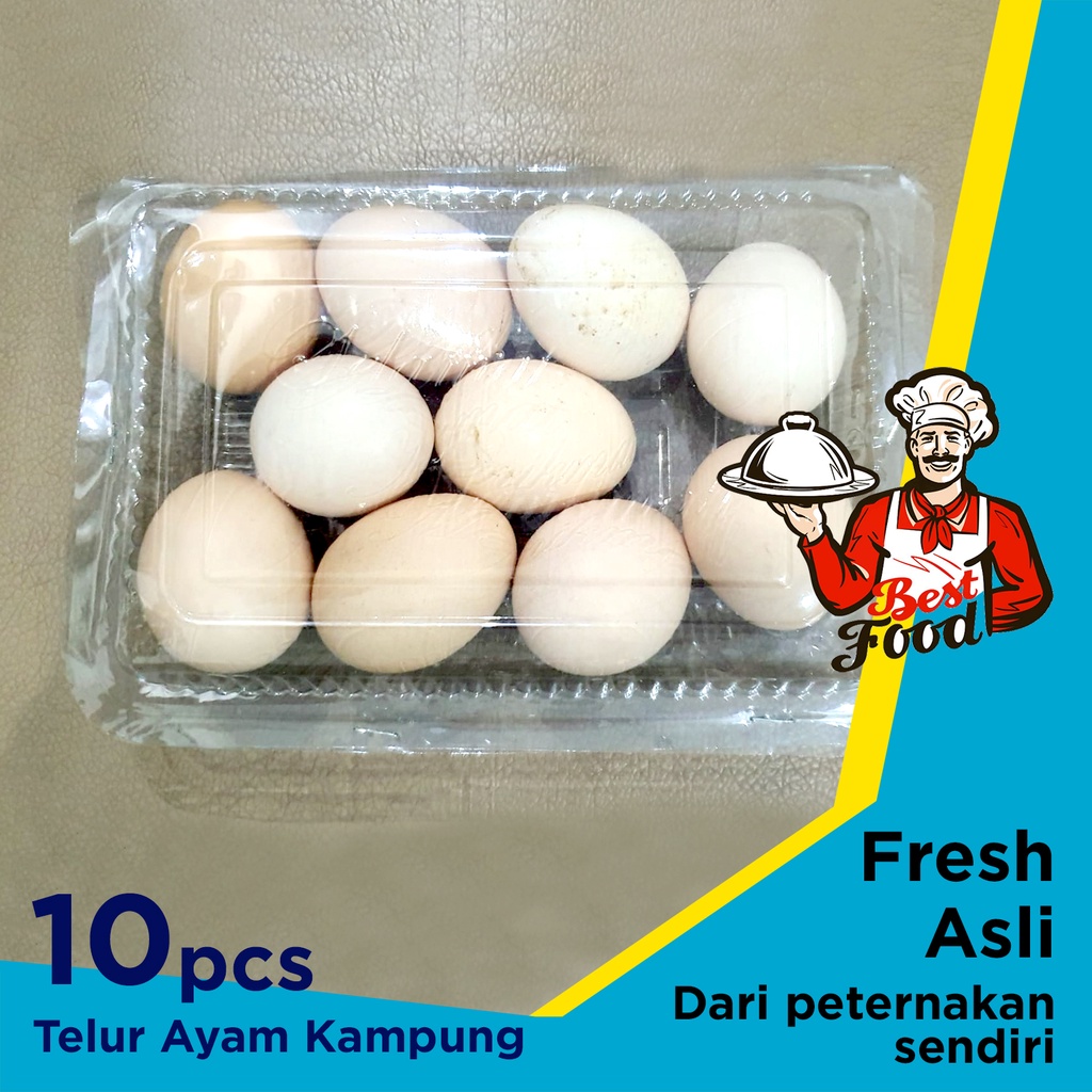 

Telur Ayam Kampung Organik 10 pcs Fresh Dari Peternakan Asli