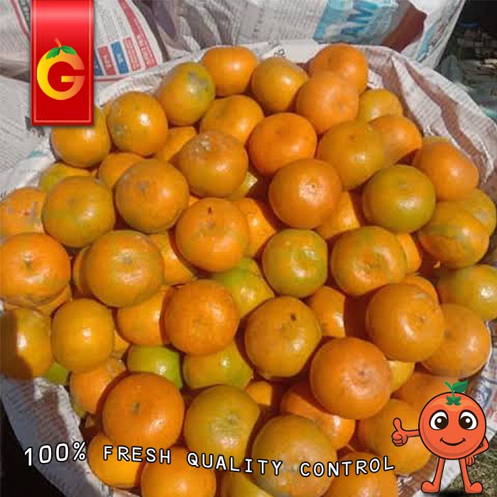 

✨NEW✨ -PROMO JERUK MEDAN SUPER MANIS DAN FRESH - 5 KG- 2.2.23